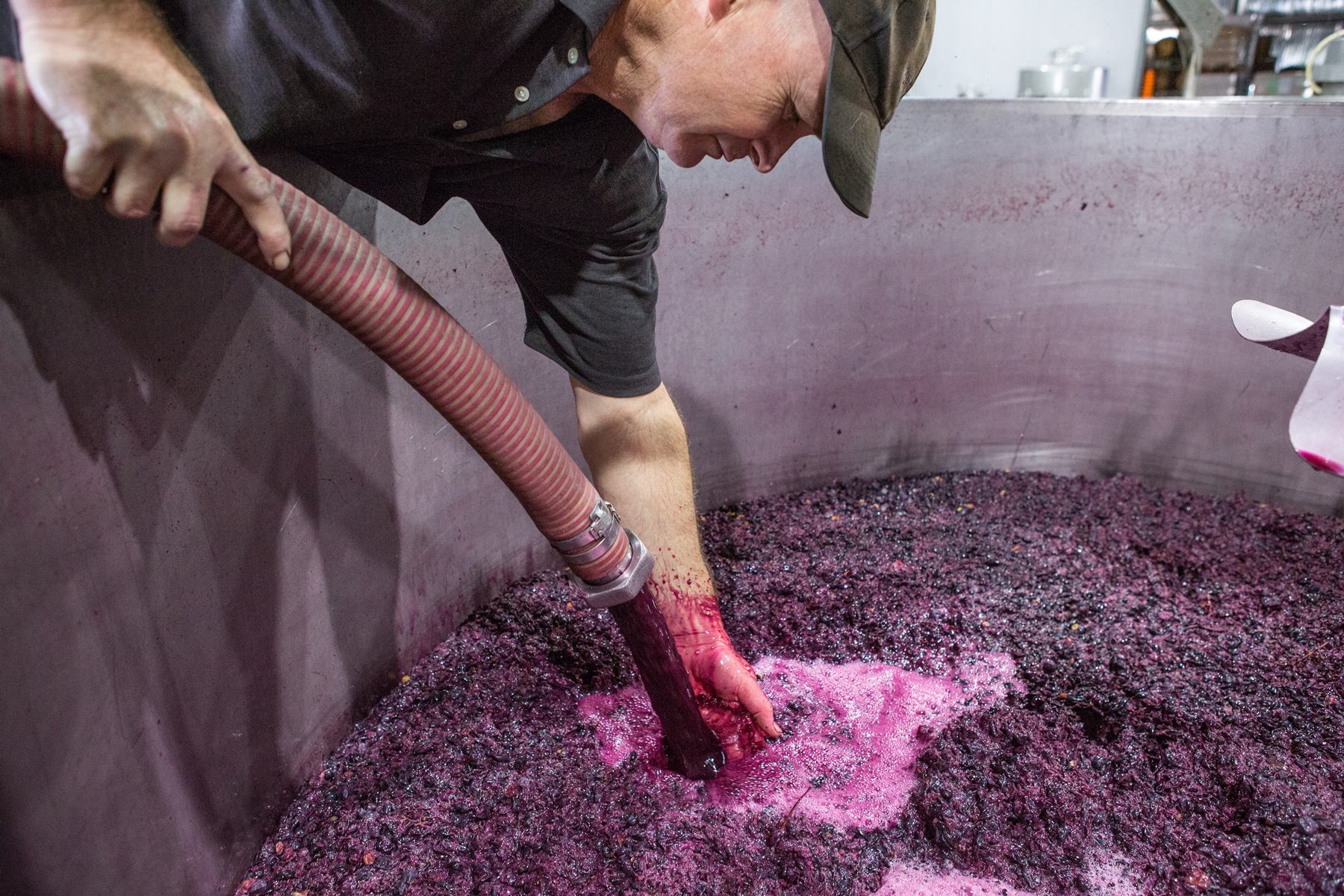 Winemaker Michael McManus